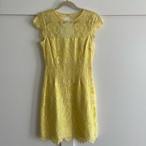 BB Dakota Jayce Lace Sheath Cocktail Dress in Citrus